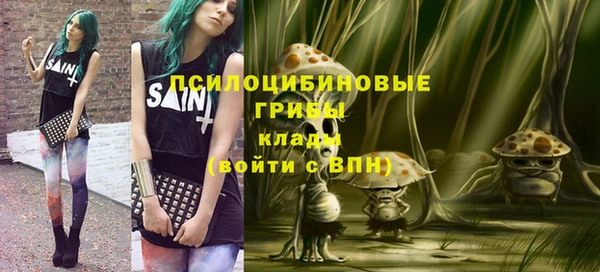 прущие грибы Алексин