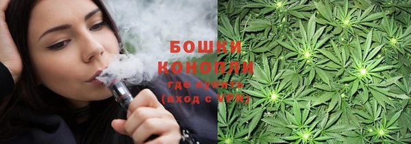 прущие грибы Алексин